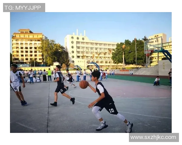 篮球的魅力与挑战:从技术演变到全球化发展趋势的深度剖析