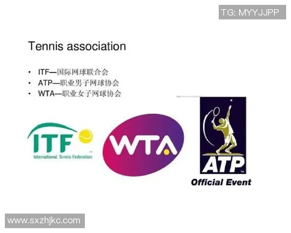 网球运动的发展历程及其在全球体育文化中的影响力探究